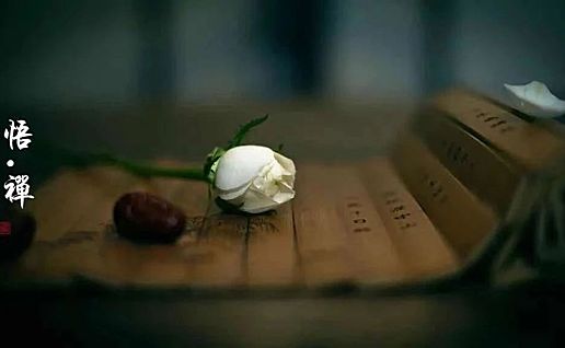 学会释怀，很重要！