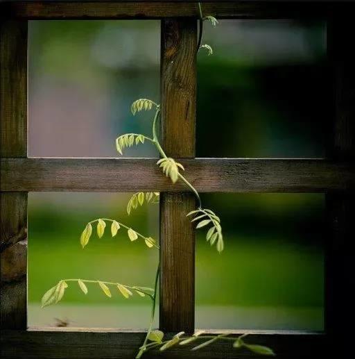 付出，你得遇上对的人