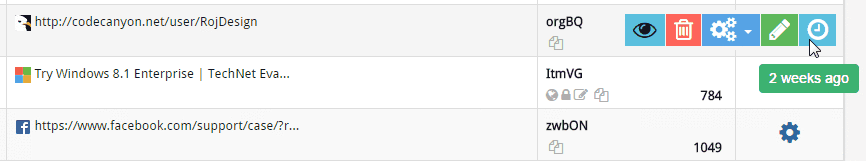 Premium URL Shortener高级商业主题Light V1.6汉化修复版
