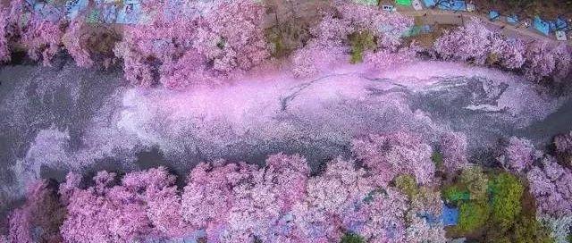 站在春天里，不用说话，就十分美好