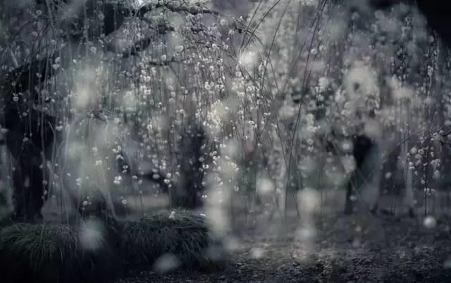 站在春天里，不用说话，就十分美好